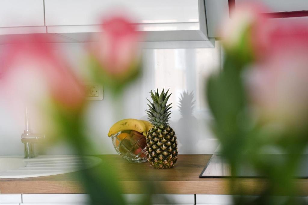 Apartment Lant Zadar Zewnętrze zdjęcie